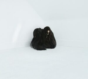 Chelsea Wolfe – Hiss Spun (LP)